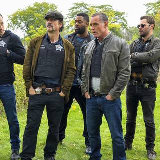 Jay Halstead wallpaper