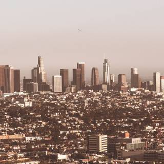 Los Angeles phone wallpaper