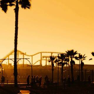 Los Angeles phone wallpaper