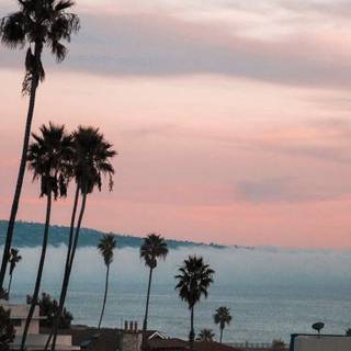 Los Angeles phone wallpaper