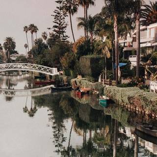 Los Angeles phone wallpaper