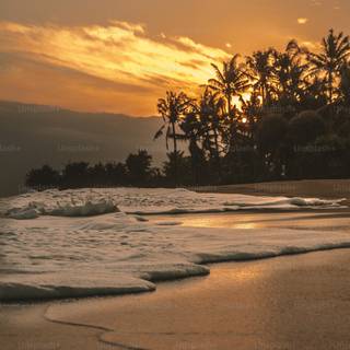 Los Angeles phone wallpaper