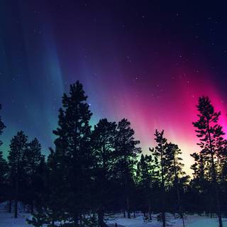 Aurora winter wallpaper