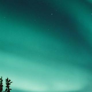 Aurora winter wallpaper