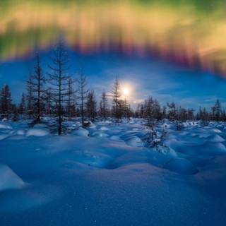 Aurora winter wallpaper