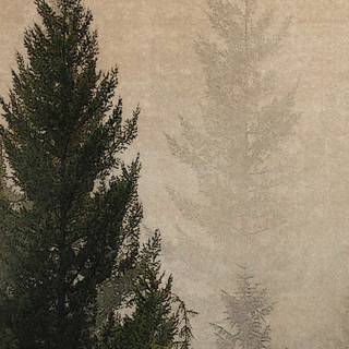 Autumn pinetree wallpaper