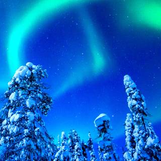 Aurora winter wallpaper