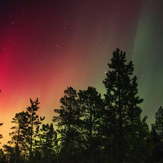 Aurora winter wallpaper