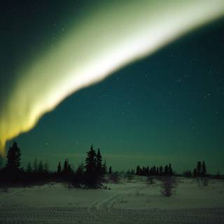 Aurora winter wallpaper