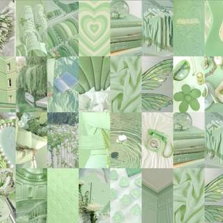 Sage green preppy wallpaper