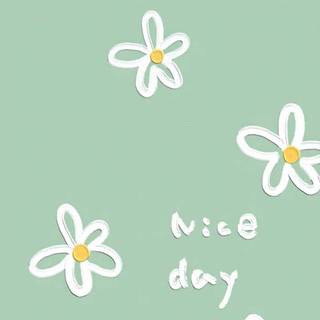 Sage green preppy wallpaper