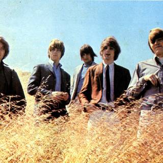 The Byrds wallpaper