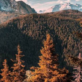 iPhone 12 nature wallpaper