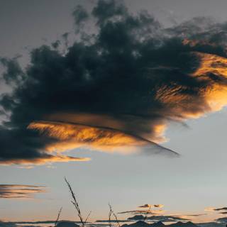 iPhone 12 nature wallpaper