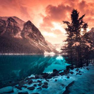 iPhone 12 nature wallpaper