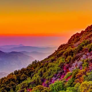 iPhone 12 nature wallpaper