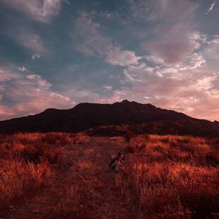 iPhone 12 nature wallpaper