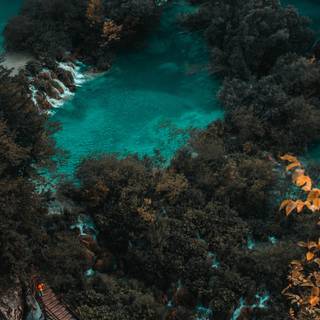 iPhone 12 nature wallpaper