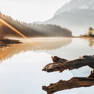 iPhone 12 nature wallpaper