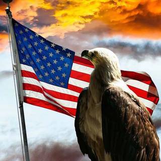 USA iPhone wallpaper