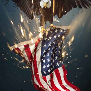 USA iPhone wallpaper