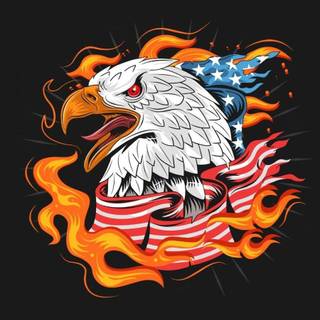 USA iPhone wallpaper