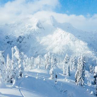 Winter climbing wallpaper