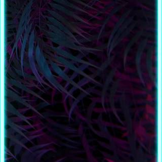 iPhone 14 Pro border wallpaper