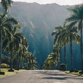Hawaii iPhone wallpaper