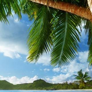 Hawaii iPhone wallpaper