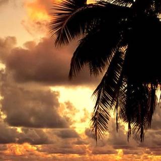 Hawaii iPhone wallpaper