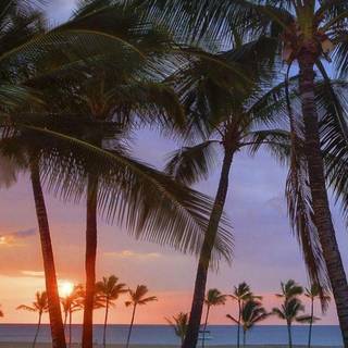 Hawaii iPhone wallpaper