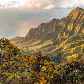 Hawaii iPhone wallpaper