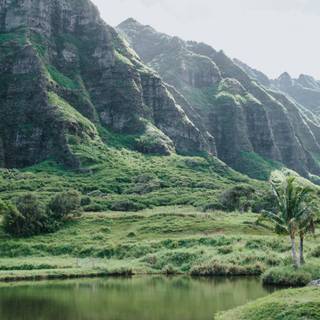 Hawaii iPhone wallpaper