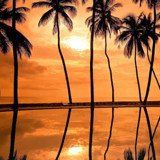 Hawaii iPhone wallpaper