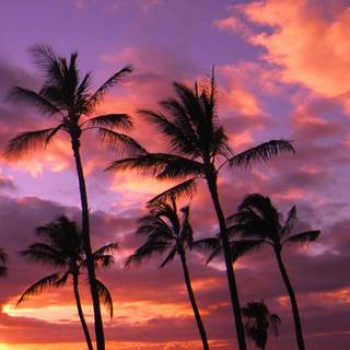 Hawaii iPhone wallpaper