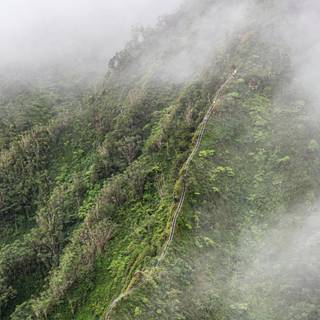 Hawaii iPhone wallpaper