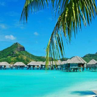 Hawaii iPhone wallpaper