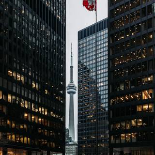 Canada phone wallpaper