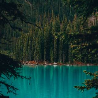 Canada phone wallpaper