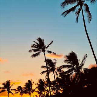 Hawaii iPhone wallpaper