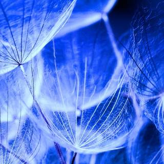 iPhone 12 aesthetic wallpaper