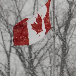 Canada phone wallpaper