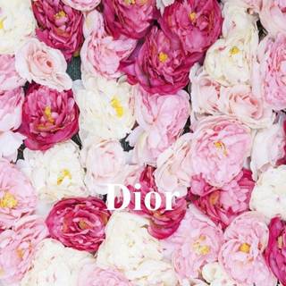 Dior iPhone wallpaper