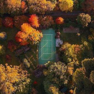 Tennis iPhone wallpaper