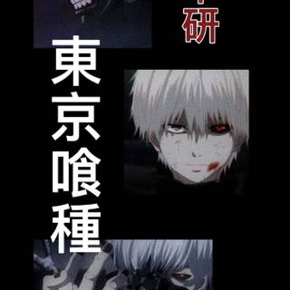 Ken Kaneki iPhone wallpaper