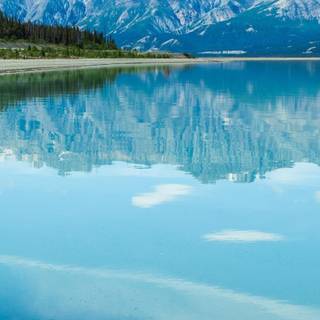 Canada phone wallpaper