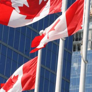 Canada phone wallpaper