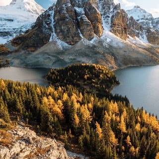 Canada phone wallpaper