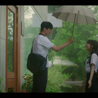 Seasons of Blossom wallpaper